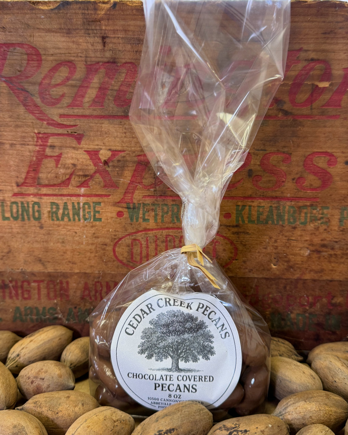 Chocolate Covered Pecans 8oz